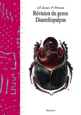 3. Diastellopalpus