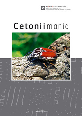 Cetoniimania 4