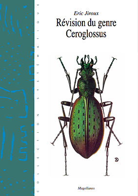 1. Ceroglossus