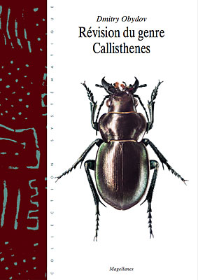 6. Callisthenes
