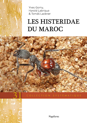 31. Les Histeridae du Maroc